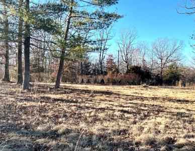 Land for Sale in Steelville, MO - image 8