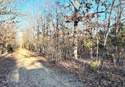 Land for Sale in Steelville, MO - image 4