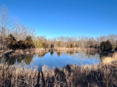 Land for Sale in Steelville, MO - image 1