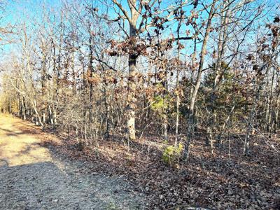 Land for Sale in Steelville, MO - image 2