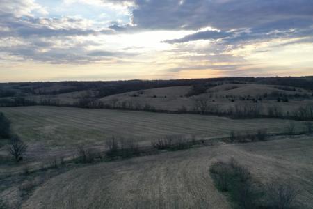 For Sale 263 Acre m/l Row Crop Farm - image 9