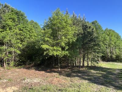 Acreage in Montgomery County - image 1