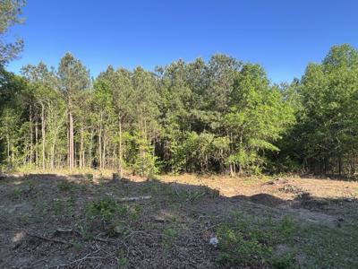 Acreage in Montgomery County - image 2