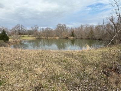 40 Acres for Sale in Middletown, MO! - image 1