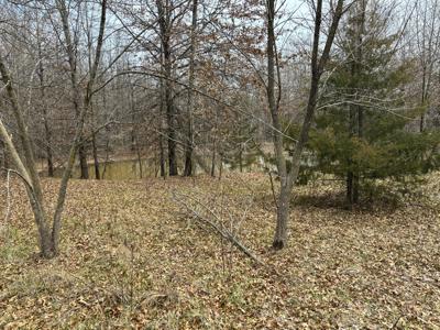 40 Acres for Sale in Middletown, MO! - image 6