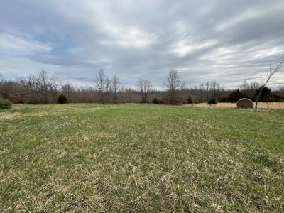 40 Acres for Sale in Middletown, MO! - image 5