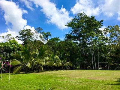 Costa Rica waterfront homes, rental income farm property - image 6