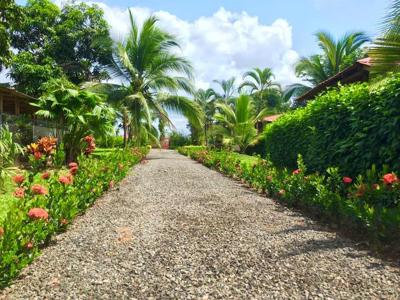 Costa Rica waterfront homes, rental income farm property - image 28