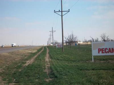 Irrigated Pecan Orchard  Lubbock County Tx - image 20