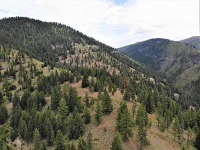 Recreation Land For Sale - image 1